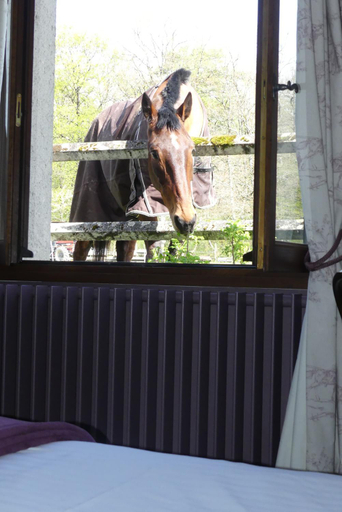 Bedroom 3, Chambres d'hôtes Les Machetières, Indre-et-Loire