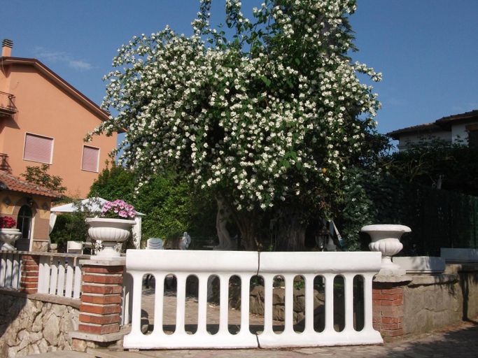 Others 4, B&B Vittoria Colonna, Roma