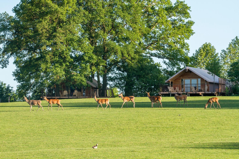 Others 5, Parc Animalier de Sainte-Croix, Moselle