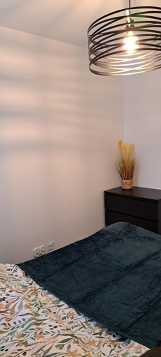 Others 4, Apartament ROYAL, Koszalin City