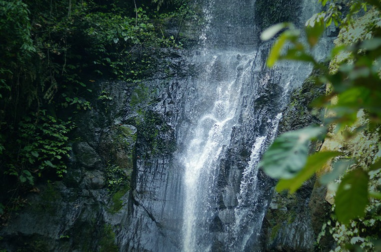Others 4, Bunihayu Forest, Subang