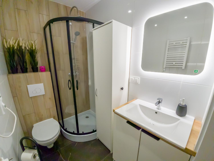 Shower 3, Punkt - Apartamenty z jacuzzi w centrum Katowic, Katowice City