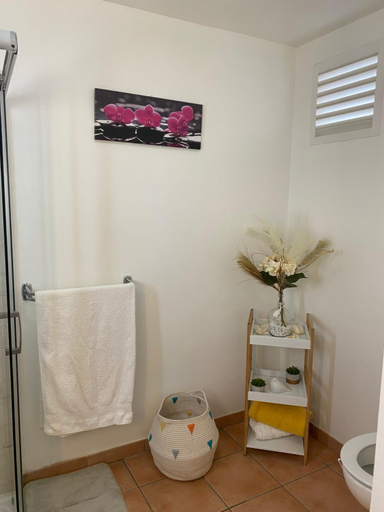 Bathroom 3, Au beau village studio rez de jardin, Basse-Pointe
