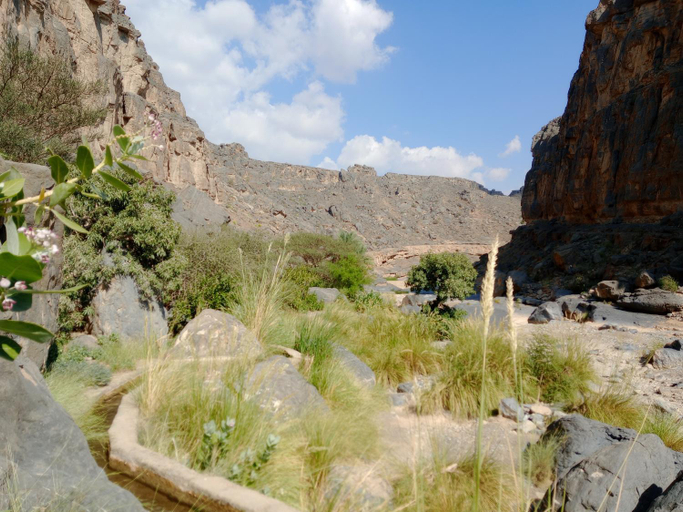 Others 5, Riad Nizwa, Nizwa