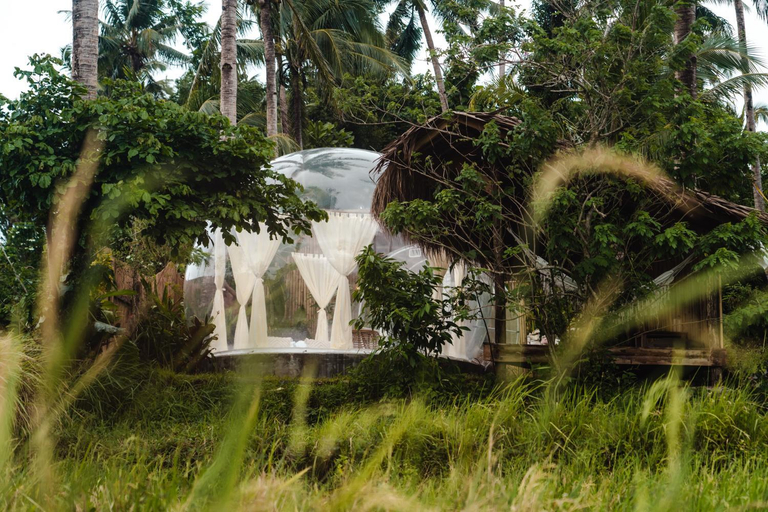 Others 5, Bubble Siargao, General Luna