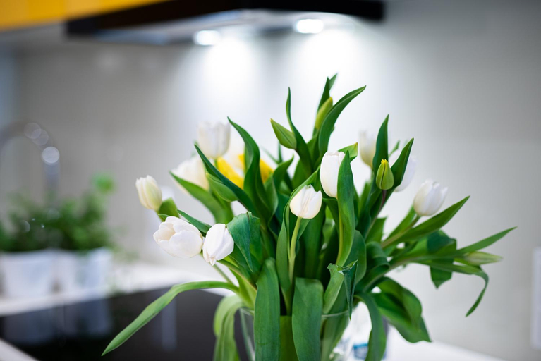 Others 2, Apartamenty Tespis - Francuska Atal Park II, Katowice City