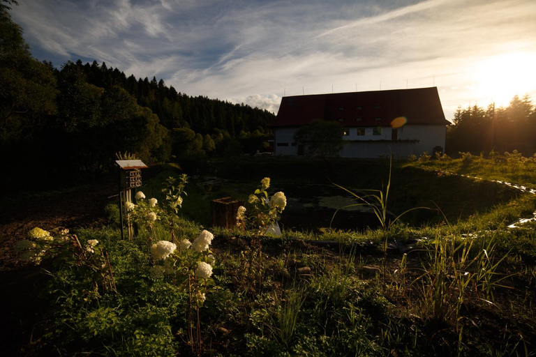 Others 5, Lawendowy Staw, Lesko