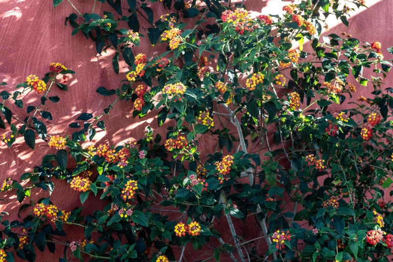 Others 4, Casa Flamingo, Caldas da Rainha