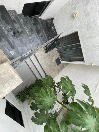 2, Casa y departamentos lavanda, Mérida