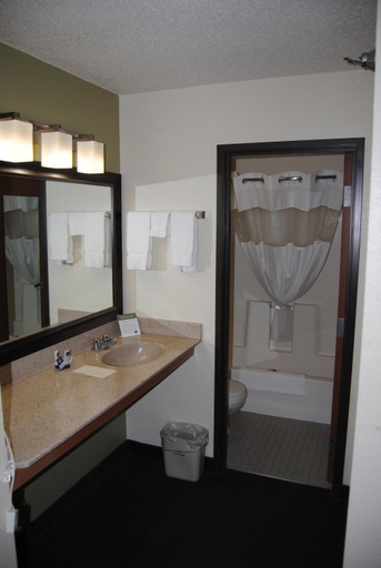 Bathroom 4, AmericInn by Wyndham Grand Rapids, Itasca