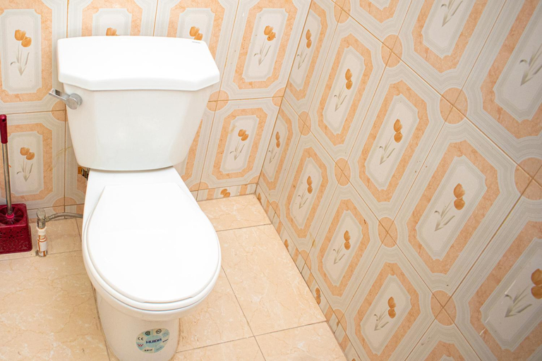 Bathroom 4, La Pepiniere Hotel, Port-au-Prince