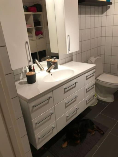 Bathroom, Spacious house near city centre - WSC 2025!, Trondheim