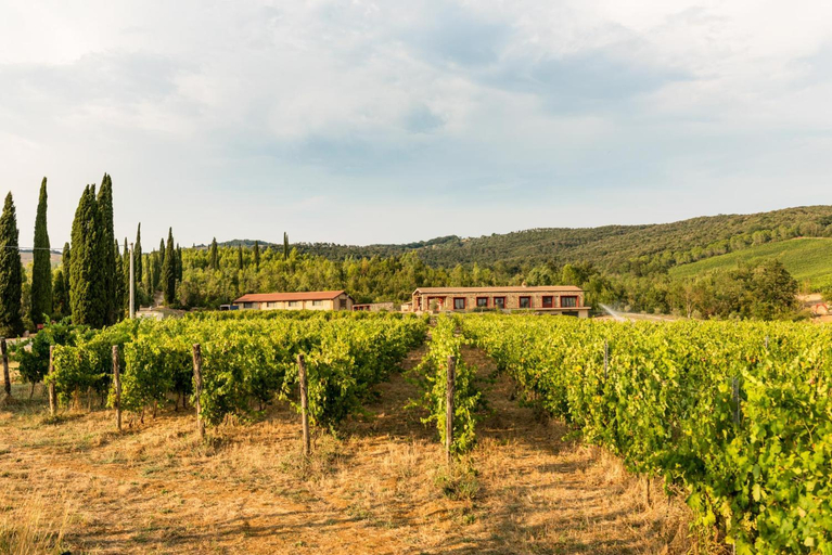 Others 4, Agriturismo & Cantina Tenuta Casteani, Grosseto