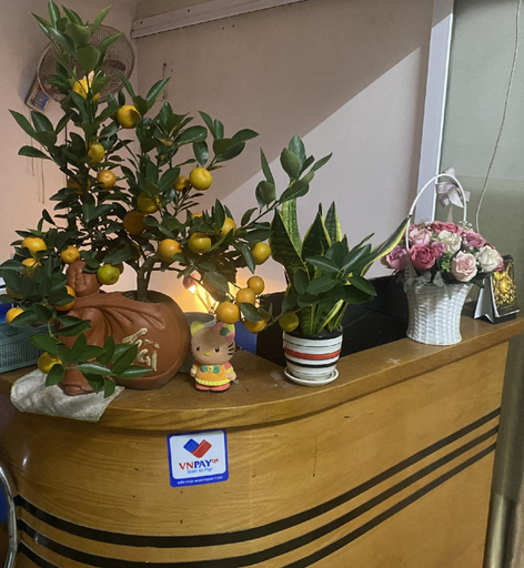 Public Area, Spacious private window room + Elevator, Đống Đa
