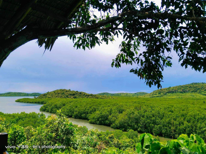 Scenery 15
