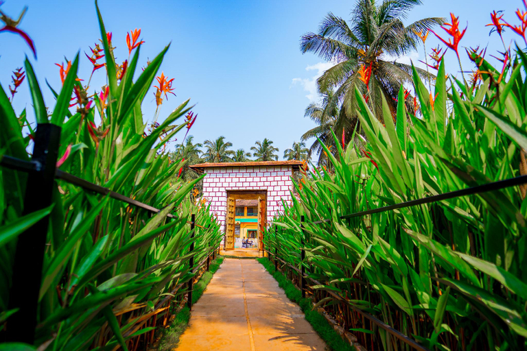 Others 5, The Tito's Orange Sky Agonda Beach Resort, South Goa