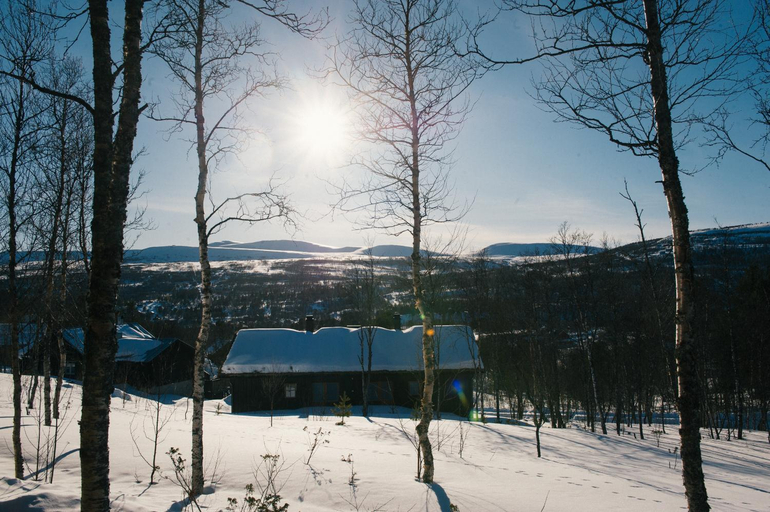 Others 4, Fjallfrid stugby, Härjedalen