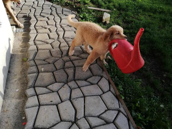 2, Apartments Radulje Bovec, Bovec