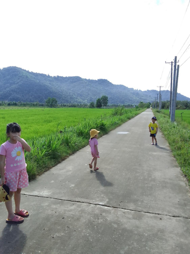 Others 5, Đuc Phat Homestay, Tân Phú
