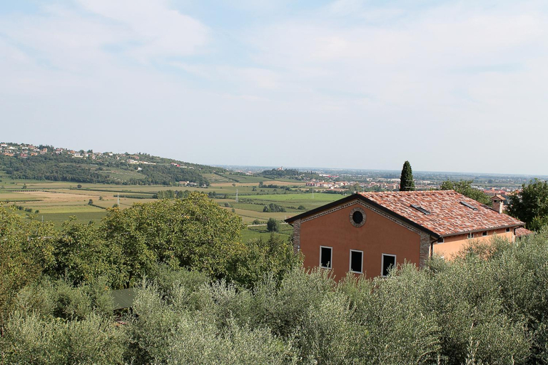 Others 2, Ca' Dei Coci B&B, Verona