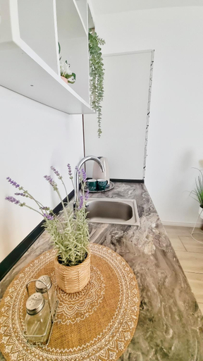 Others 4, KYD VILA - Studiouri si Apartamente la 100m de Plaja Debarcader, Tuzla