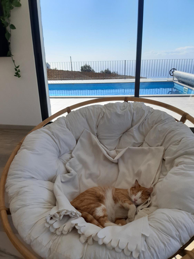 Others 4, Casa dos Avos, Calheta