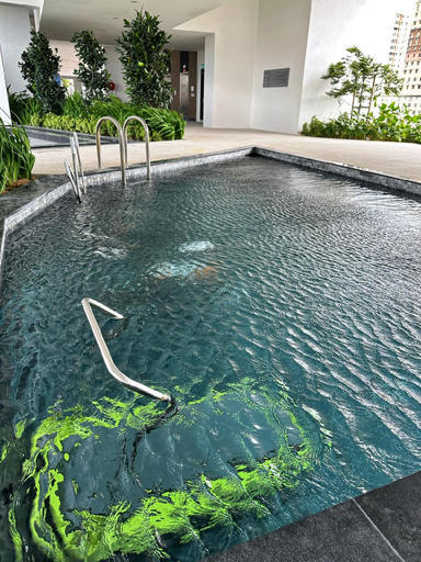 Sport & Beauty 2, Cozy Urban Suites Georgetown View, Pulau Penang