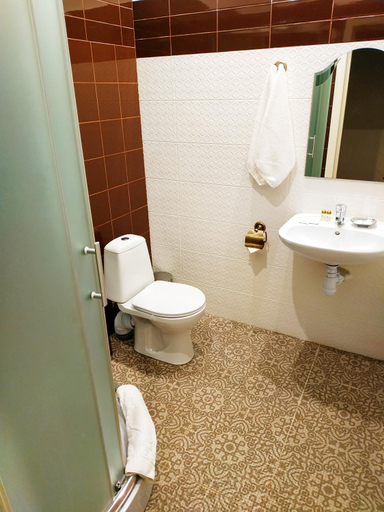 Bathroom 2, Borovik, Vyshhorods'kyi