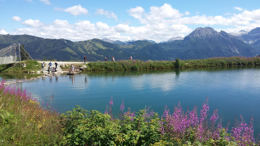 Others 4, Bauernhof Burglehen, Sankt Johann im Pongau