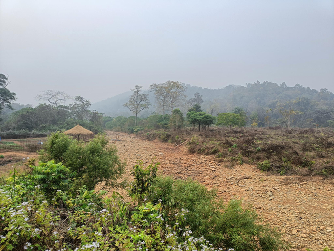 Others 5, Similipal Prakruti Nivas, Mayurbhanj