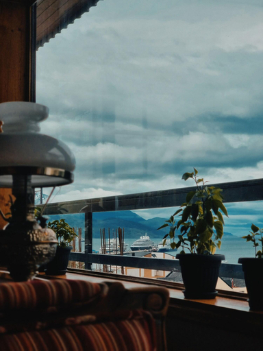 Public Area 2, Flor Austral, Ushuaia