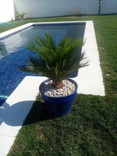 Sport & Beauty 2, Las Casitas de la Barrosa con jardin y piscina, Cádiz
