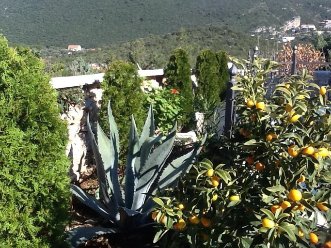 Others 2, Villa Mirista