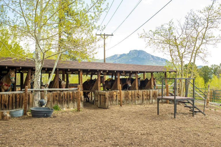 Others 4, The Meeker Park Lodge, Boulder
