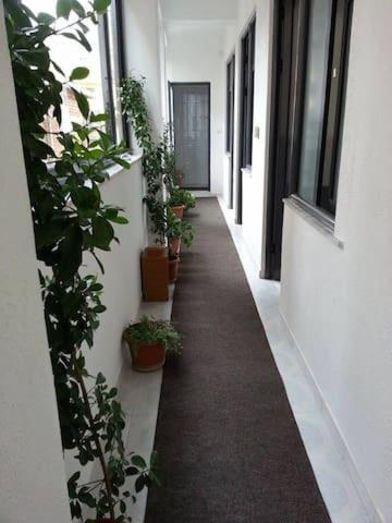 Others 4, Guest House AZA, Pogradecit