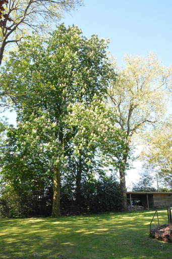 Others 3, B & B Landhuis Ter Velt, Oost-Vlaanderen