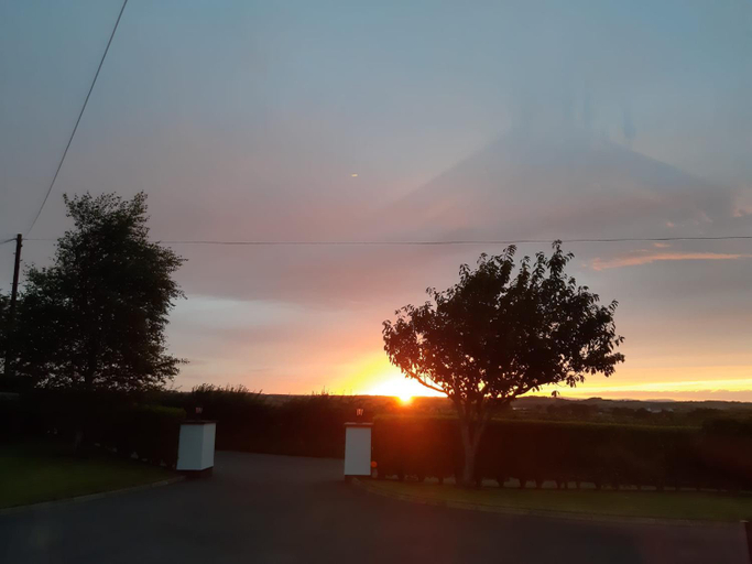 Others 4, Lecale Bliss, Newry, Mourne and Down