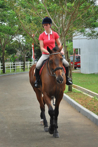One Global Adria - Equine Estate & Resorts, Tangerang