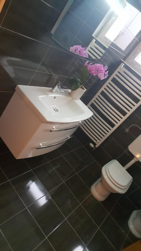 Bathroom 3, Palma Guesthouse, Lopar/Supetarska Draga