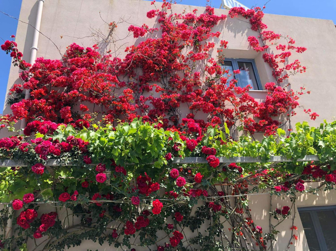 Others 3, Nikolas Apartments, Crete