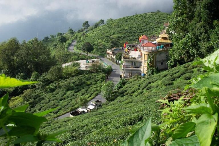 Others 5, TRADITIONAL HOTEL AND RESTAURANT, Darjiling