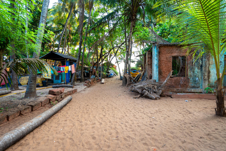 Others 2, Coastal Galaxy View, Sindhudurg