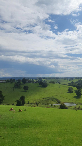 Others 3, Ten Acres, Tamborine Mountain