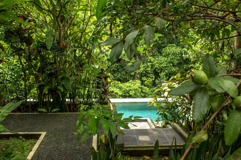 Swimming Pool 9