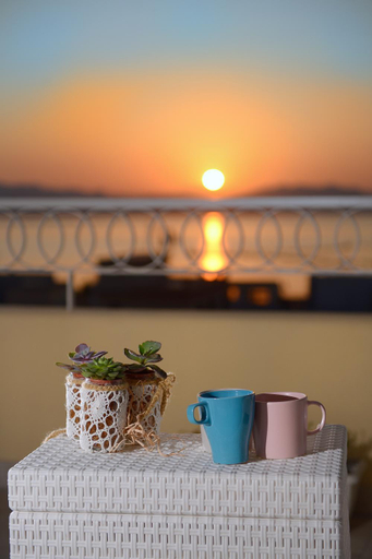 Others 5, La terrazza dei colori, Latina