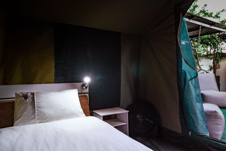 Bedroom 2, Chameleon Backpackers & Guesthouse, Windhoek East
