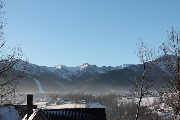 Others 4, Willa Grzesiczek z widokiem na Tatry, Tatra