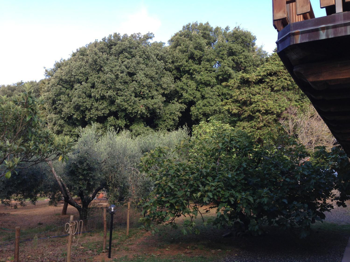 Others 5, Agriturismo "La Rosa Canina", La Spezia