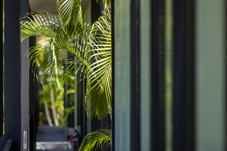 Public Area 3, Kipara Tropical Rainforest Retreat, Whitsunday