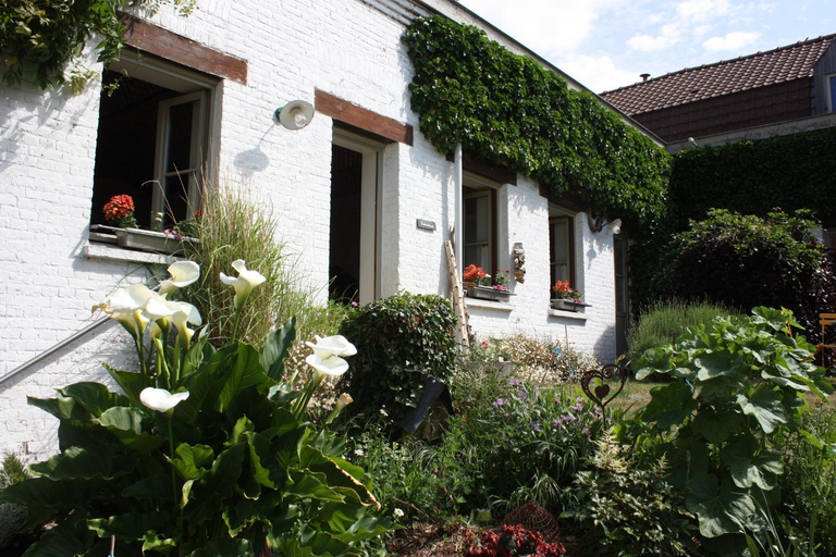Exterior & Views 2, L'Atterrissage, Nord